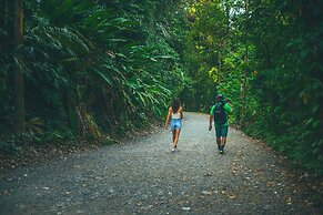 Jungle Vista Boutique Hotel