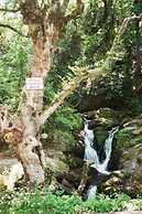 Happy Days Hotel Christina