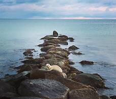 Menemsha Inn & Cottages