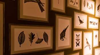 Kitayuzawa Mori no Soraniwa