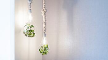 Kitayuzawa Mori no Soraniwa