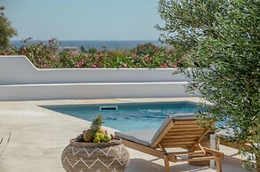 Sea & Olives Holiday Villas and Suites