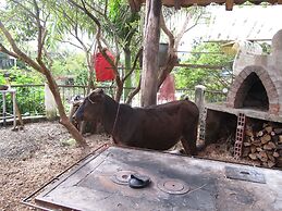 Finca Campestre La Adelita