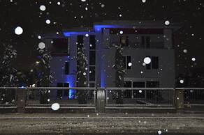 Notte Stellata
