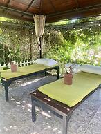 Homestay Chiang Rai