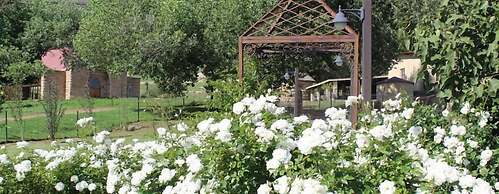 Oranje Gasteplaas Maloti Route