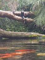 Breena BnB Guest House