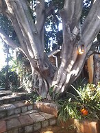 Breena BnB Guest House