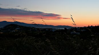 Proteas Hotel & Suites