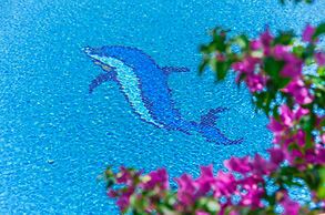 Proteas Hotel & Suites