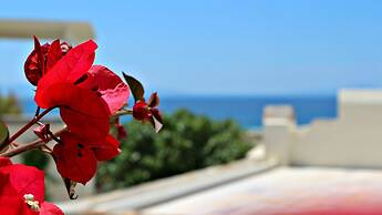 Proteas Hotel & Suites