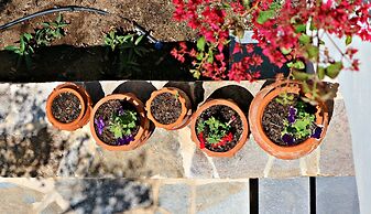 Proteas Hotel & Suites