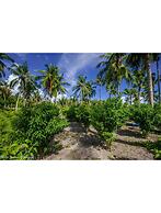 Thoddoo Beach View by Vista