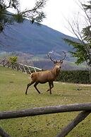 Agriturismo Basaletto