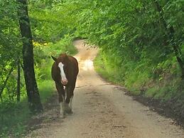 Agriturismo Basaletto