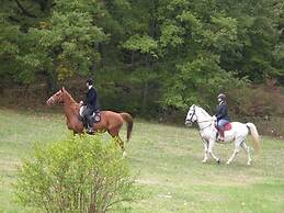Agriturismo Basaletto