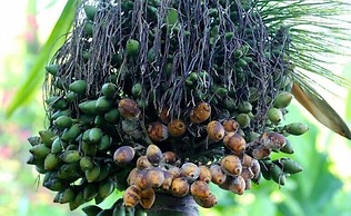 Hôtel Clair de Lune