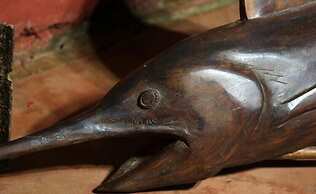 Hôtel Clair de Lune