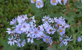 Hôtel Clair de Lune
