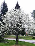 Dwight Riverside Inn