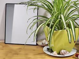 Newton Lodge Auckland - Hostel