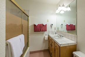 Inside Yosemite Spring Wonderland