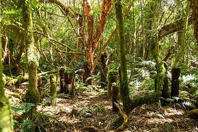 Mohua Park - Catlins Eco Accommodation