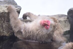 Guest House Kura - Hostel