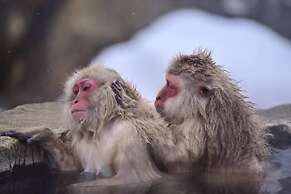 Guest House Kura - Hostel