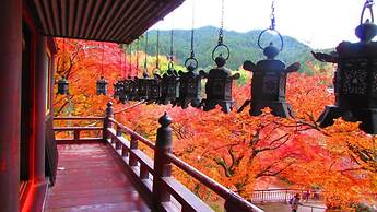 Bakery Hotel Château D'or - Hostel