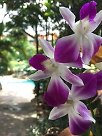 L'Elephant Blanc Resort