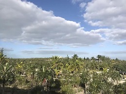 La Bougainvillea Hotel and Villas