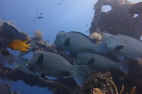 Sea Hua Ha Ha - Hostel