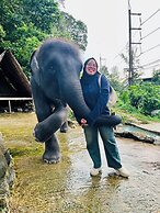 Ocean View Treasure Residence