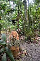 Pachamama Jungle River Lodge