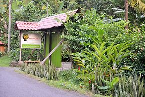 Pachamama Jungle River Lodge