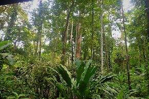 Pachamama Jungle River Lodge