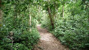 Pachamama Jungle River Lodge