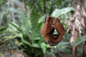 Pachamama Jungle River Lodge