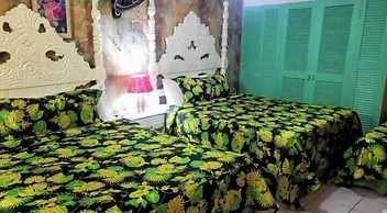 PinkHibiscus Guest House