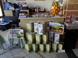 Hotel Ristorante Pizzeria Le Voilier