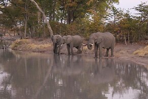 Dzibanana Lodge & Camping