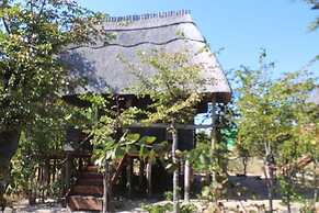 Dzibanana Lodge & Camping