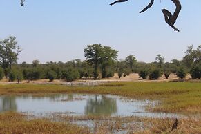 Dzibanana Lodge & Camping