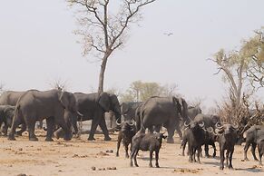 Dzibanana Lodge & Camping