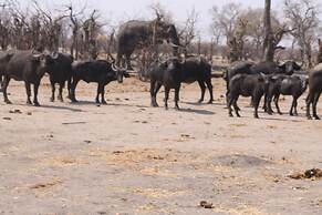 Dzibanana Lodge & Camping