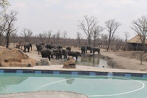 Dzibanana Lodge & Camping