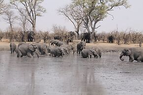 Dzibanana Lodge & Camping