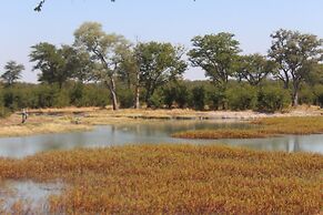 Dzibanana Lodge & Camping