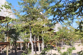 Dzibanana Lodge & Camping